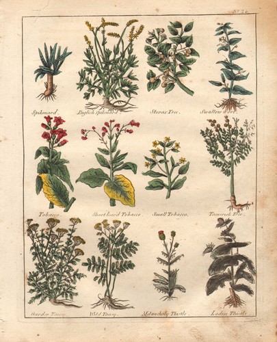 1810 print culpepers - 1810,