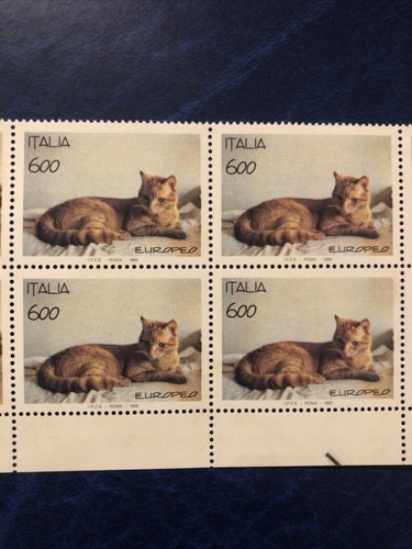 Italia 600 animali gatto - italia,