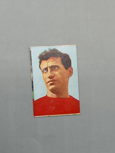 Figurina coppa rimet 1966 - coppa,