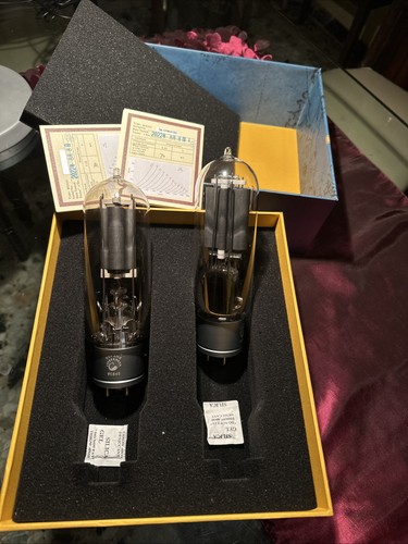 Psvane type 845b tube set - 845b,