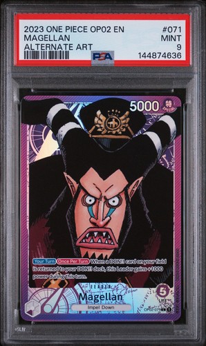 2023 one piece - one, magellano