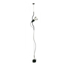 Flos, Parentesi Nera, Achille