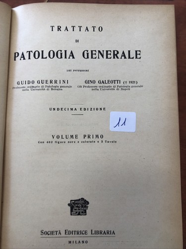 Guerrini trattato patologia - guerrini-trattato,