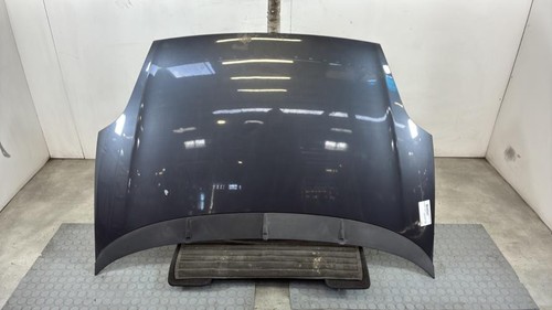 Cofano fiat punto - fiat, evo