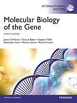Molecular biology the gene - biology, of