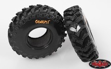 RC4WD Genius Sem Fronteira