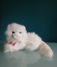 "CEPPIRATTI" peluche Gatto