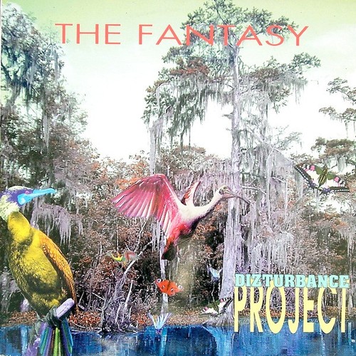 Dizturbance project the - project,