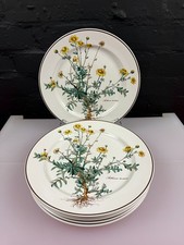 Villeroy And & Boch Botanica