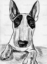 Ritratto personalizzato su