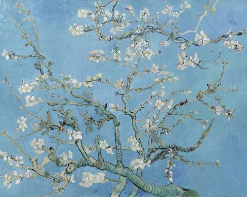 Rami con fiore - di, di