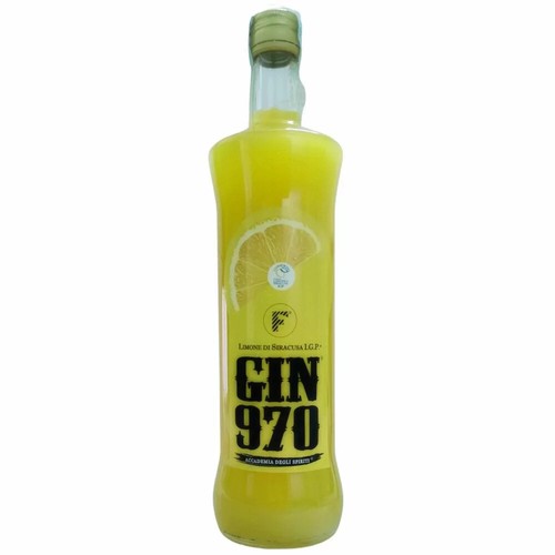 Gin 970 accademia - 970, degli