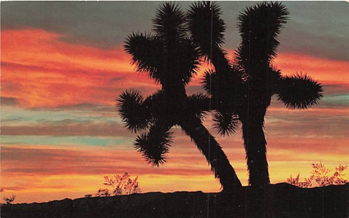 Cartolina tramonto sul - cartolina,