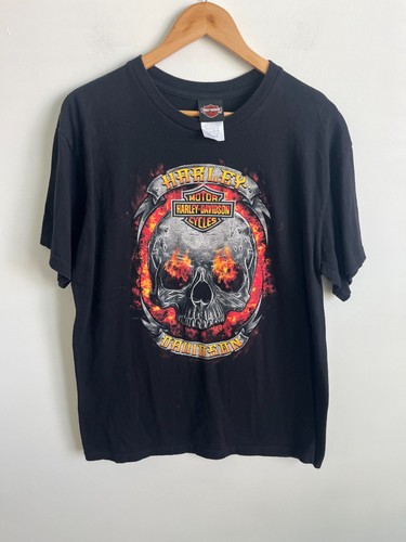 Harley davidson skull flames - skull, t