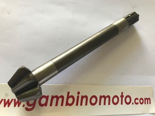 Pignone motocoltivatore - pignone,