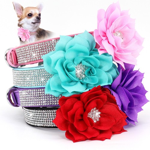 Collare per cani glitterato - collare,