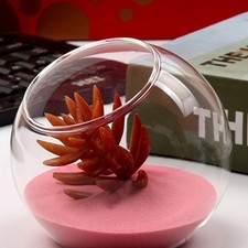 Bottiglia Terrario Bottiglie