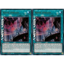 NADIR SERVANT 2x •