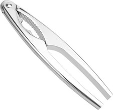 PINTINOX SCHIACCIANOCI IN