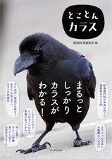 Thorough Guide to Crows BIRDER