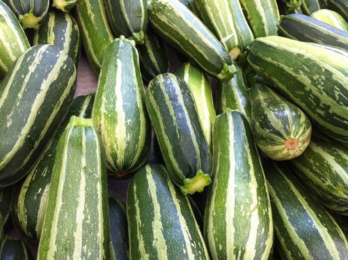 Zucchine italian striped 10 - striped, 10+
