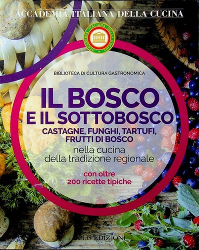 Bosco il sottobosco - bosco,