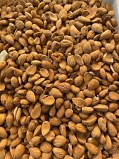 Mandorle Sgusciate  baresi 5 Kg Raccolto  Nuovo ( settembre ) MANDORLE