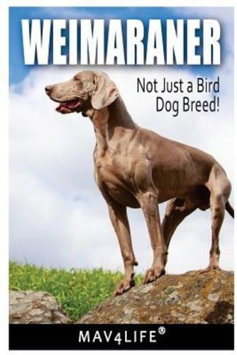 Weimaraner not just - just, a