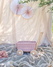 Passeggino giocattolo in