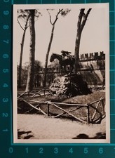 FOTO ROMA ANIMATA  TEMPIO IL MULO SCUDELA 1940 C.   ( F 39 )