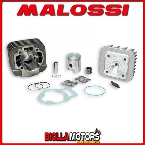 318520 gruppo termico malossi - 318520,