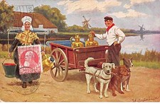 Cani - N°82089 - Auto Per