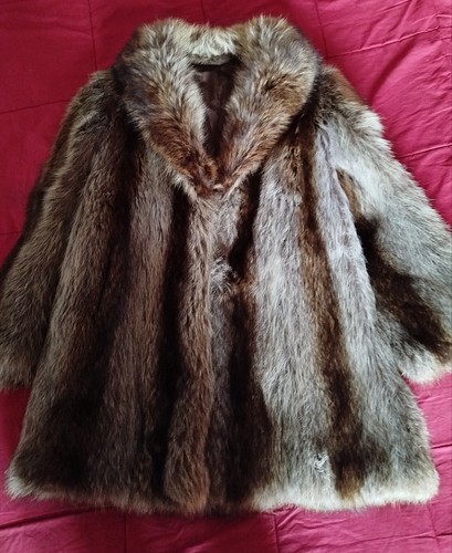 Caldissima elegante - caldissima,