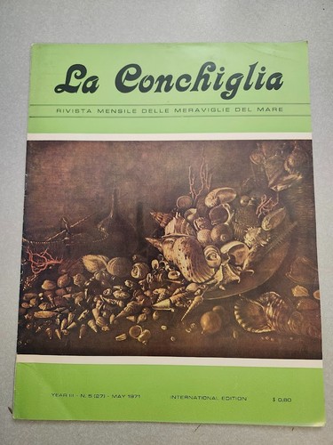 Mediterranean shell collecting - mediterranean,