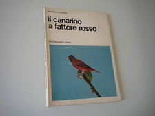 RAFFAELLO PAGANINI - IL CANARINO A FATTORE ROSSO 1969 ENCIA