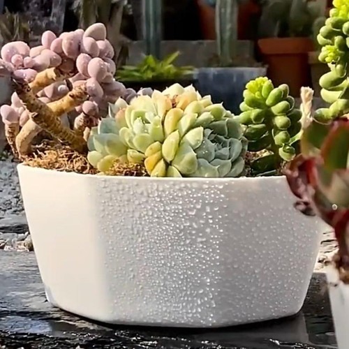 Vaso moderno grande - , in
