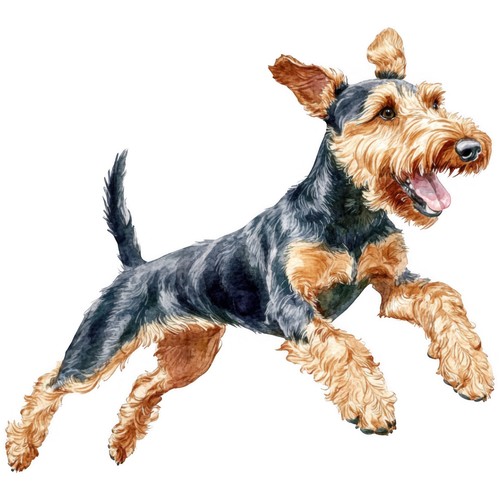 Adesivi airedale terrier - adesivi,