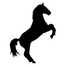 Sticker autocollant cheval