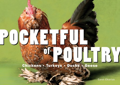 Pocketful pollame polli - pocketful,