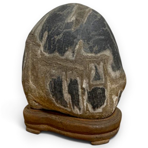 Suiseki pietra modello teschio - pietra,