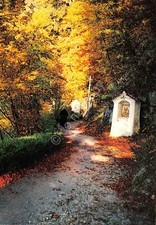 Cartolina piedimonte matese - piedimonte,