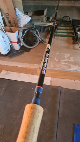 Lotto canne pesca spinning - canne,
