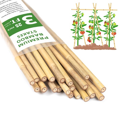 Pali per piante 3ft paletti - pali,