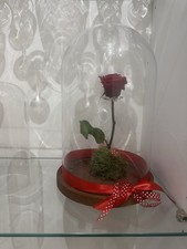 Rosa Eterna Stabilizzata Rossa in Campana