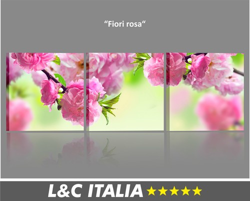 Fiori rosa quadri moderni - rosa,