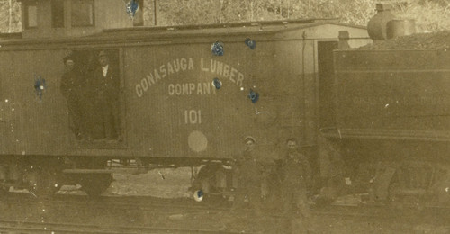 Polk county conasauga - polk, tn