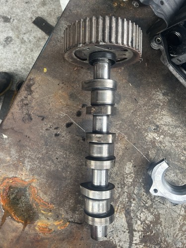 Albero camme volkswagen polo - camme,