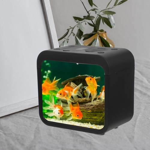 Piccolo acquario mini - piccolo,