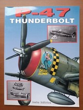 Aviazione militare   P-47 THUNDERBOLT - DELTA EDITRICE - 1999