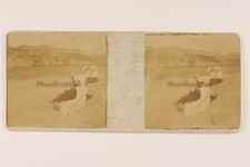 Snapshot Artistico Foto